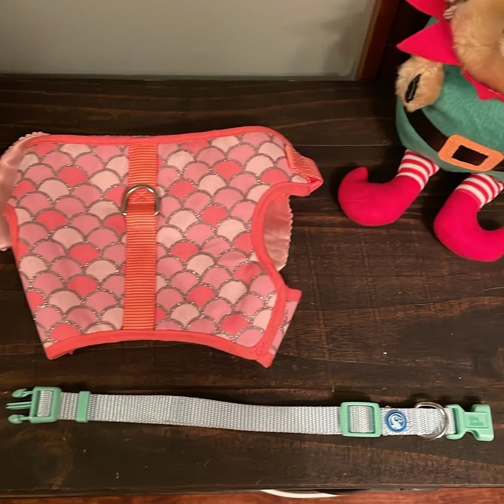 Small dog fish collar, The Dodo collar and hedgehog holiday toy.